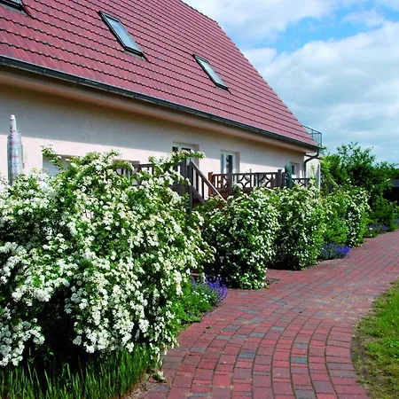 Modernes Reihenhaus Mit Wlan In Am Mueritzsee Buchholz (Mecklenburg-Vorpommern)