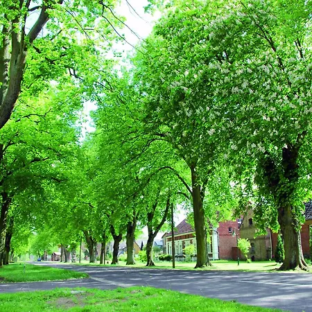 Reihenhaus Mit Wlan In Am Mueritzsee 度假居