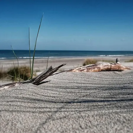 度假居 Reihenhaus Mit Wlan In Am Mueritzsee *