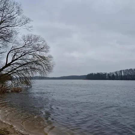 Modernes Reihenhaus Mit Wlan In Am Mueritzsee Semesterbostad Buchholz (Mecklenburg-Vorpommern)