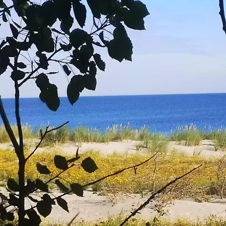 Modernes Reihenhaus Mit Wlan In Am Mueritzsee Buchholz (Mecklenburg-Vorpommern)