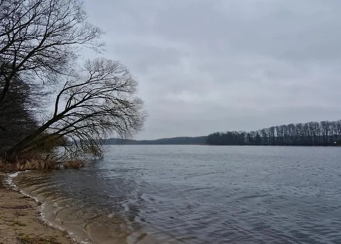 Reihenhaus Mit Wlan In Am Mueritzsee Feriehus Buchholz (Mecklenburg-Vorpommern)