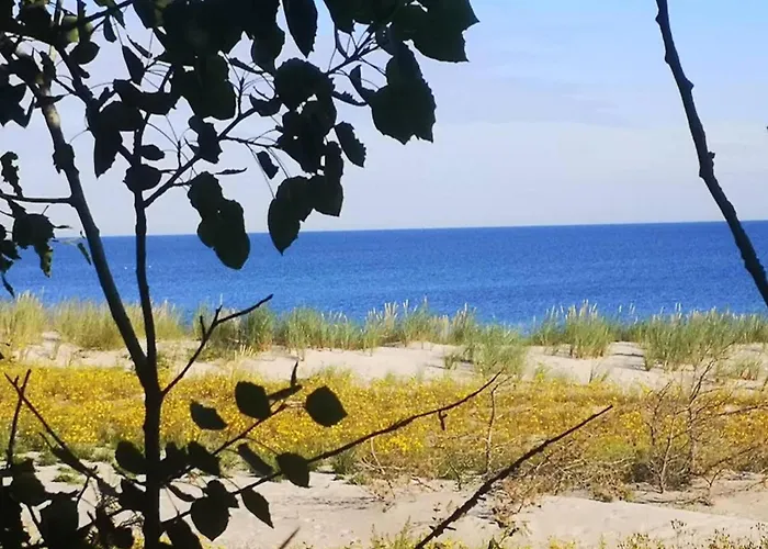 Reihenhaus Mit Wlan In Am Mueritzsee Buchholz (Mecklenburg-Vorpommern)